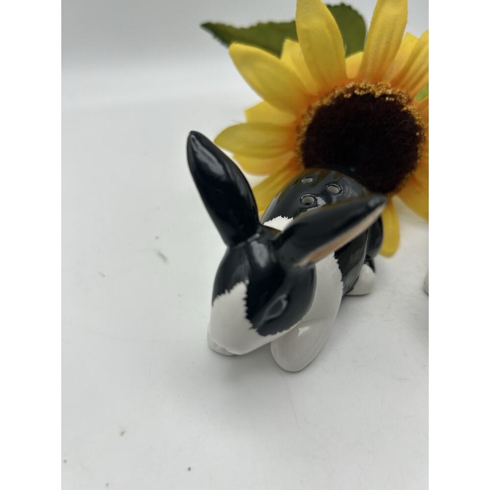 Dutch Rabbits Salt & Pepper Shaker - Picture 3 of 14